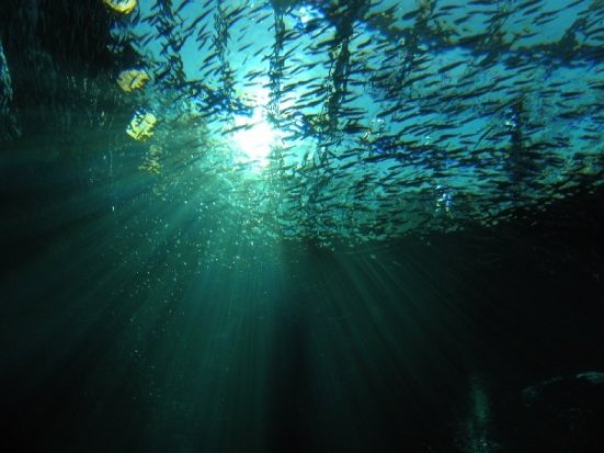 10392164_872822938683_6139885_n