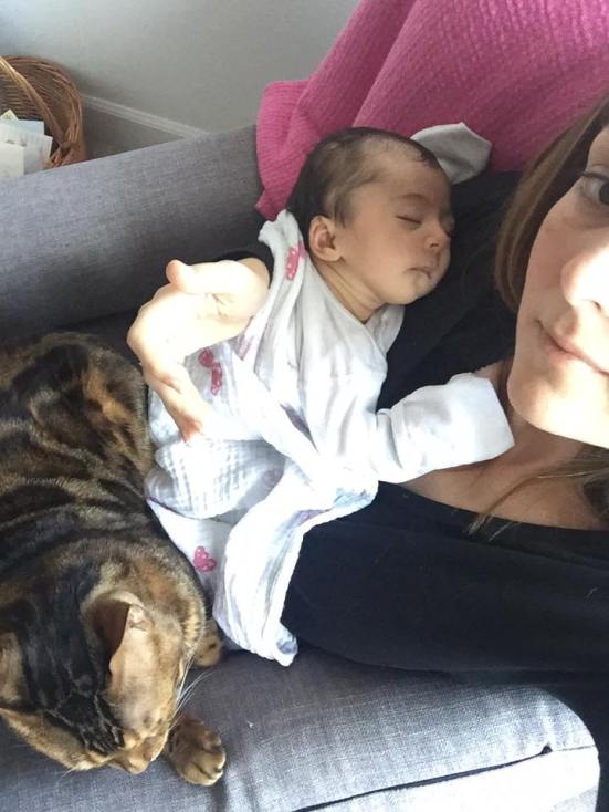 14117852_10105644505757023_5331834911712874360_n