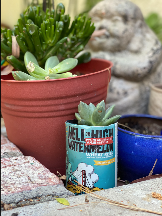 Screen Shot 2020-05-08 at 1.48.11 PM